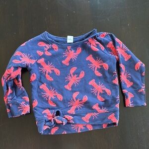 Old Navy Blue and Red Long Sleeve Tee